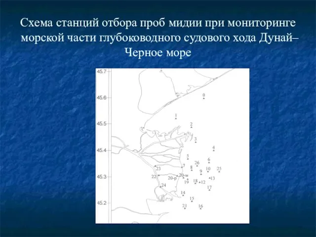 Схема станций отбора проб мидии при мониторинге морской части глубоководного судового хода Дунай–Черное море