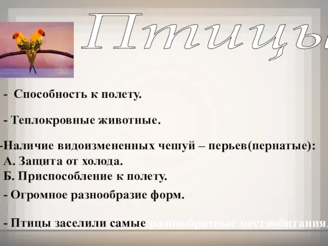 Птицы - Способность к полету. Наличие видоизмененных чешуй – перьев(пернатые): А. Защита