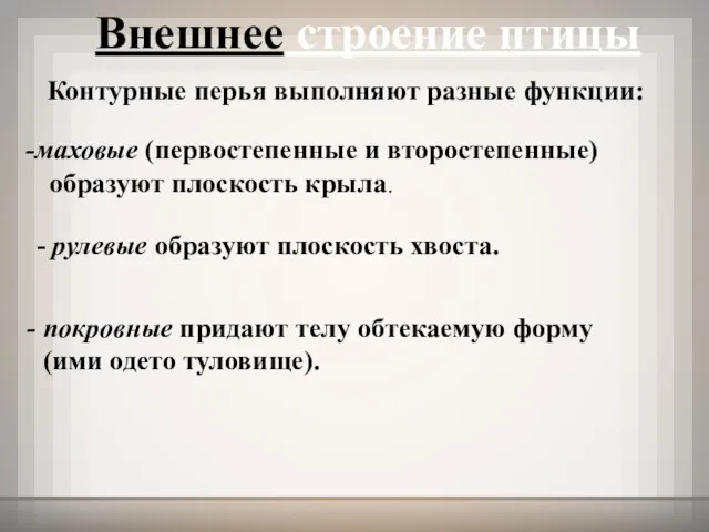 Внешнее строение птицы Контурные перья выполняют разные функции: маховые (первостепенные и второстепенные)