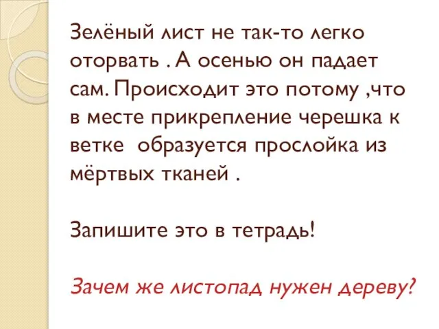 Зелёный лист не так-то легко оторвать . А осенью он падает сам.