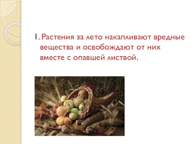 1. Растения за лето накапливают вредные вещества и освобождают от них вместе с опавшей листвой.