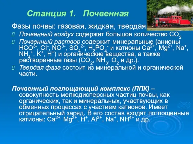 Станция 1. Почвенная Фазы почвы: газовая, жидкая, твердая Почвенный воздух содержит большое