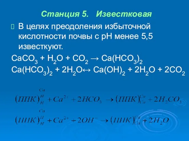 Станция 5. Известковая В целях преодоления избыточной кислотности почвы с pH менее