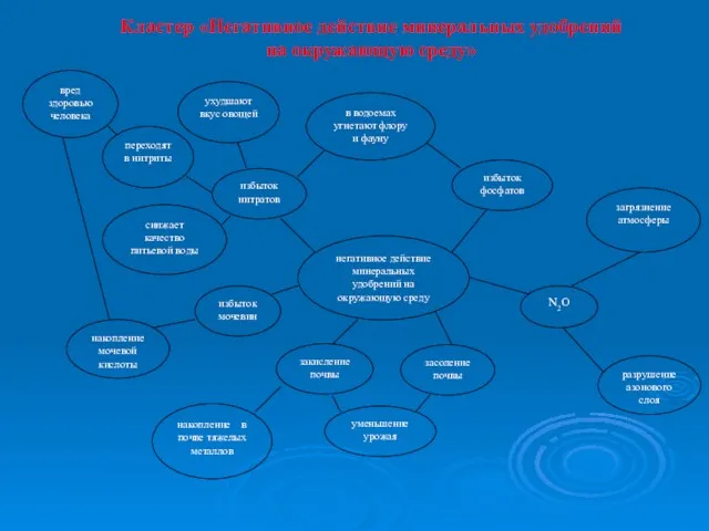 закисление почвы Кластер «Негативное действие минеральных удобрений на окружающую среду»