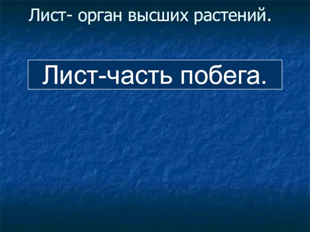 Лист- орган высших растений. Лист-часть побега.