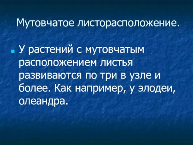 Мутовчатое листорасположение. У растений с мутовчатым расположением листья развиваются по три в