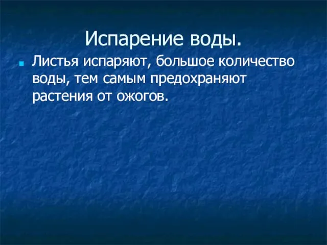 Испарение воды. Листья испаряют, большое количество воды, тем самым предохраняют растения от ожогов.