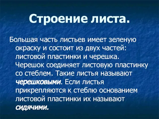 Строение листа. Большая часть листьев имеет зеленую окраску и состоит из двух