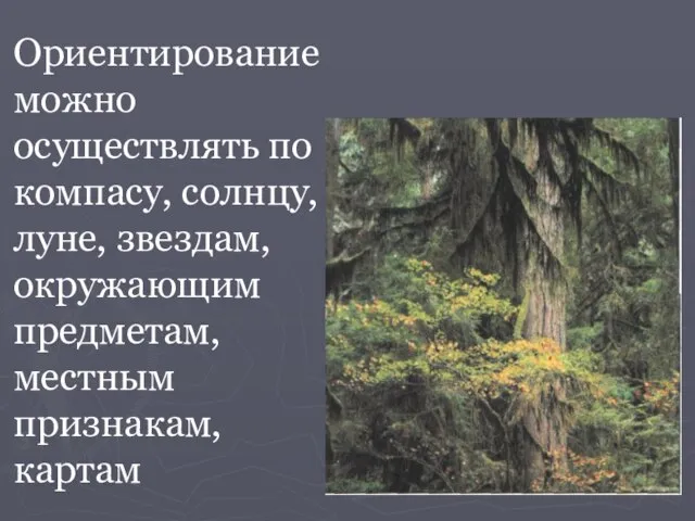 Ориентирование можно осуществлять по компасу, солнцу, луне, звездам, окружающим предметам, местным признакам, картам