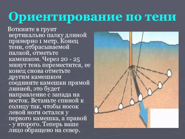 Ориентирование по тени Воткните в грунт вертикально палку длиной примерно 1 метр.