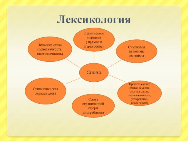 Лексикология Слово Лексическое значение ( прямое и переносное) Синонимы антонимы омонимы Происхождение