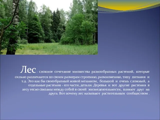 Лес - сложное сочетание множества разнообразных растений, которые сильно различаются по своим