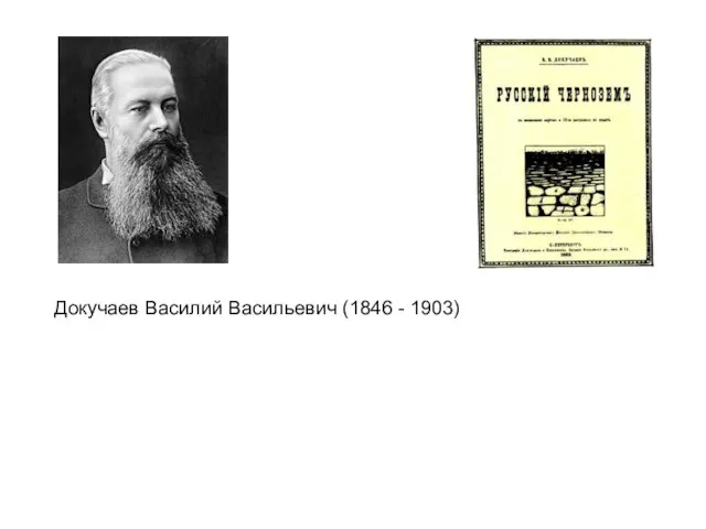 Докучаев Василий Васильевич (1846 - 1903)