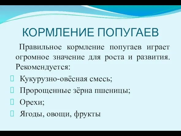 КОРМЛЕНИЕ ПОПУГАЕВ Правильное кормление попугаев играет огромное значение для роста и развития.