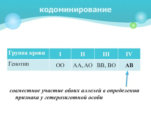 совместное участие обоих аллелей в определении признака у гетерозиготной особи кодоминирование