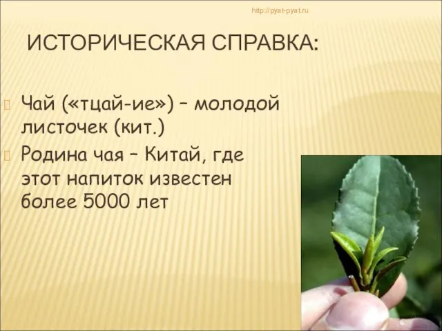 ИСТОРИЧЕСКАЯ СПРАВКА: Чай («тцай-ие») – молодой листочек (кит.) Родина чая – Китай,