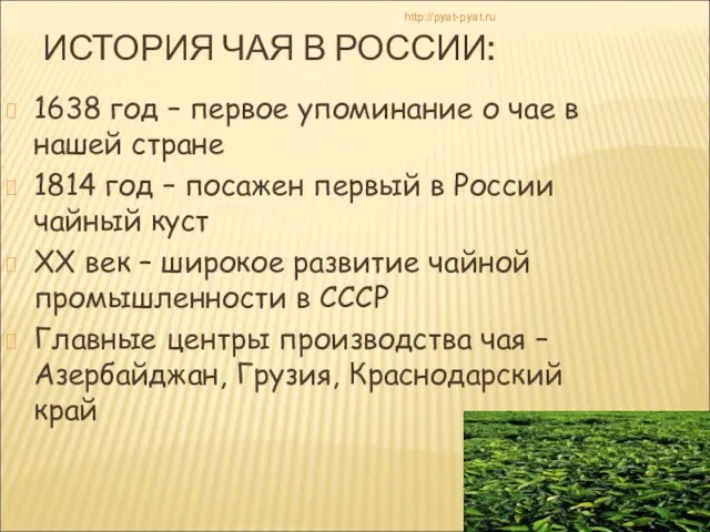 ИСТОРИЯ ЧАЯ В РОССИИ: 1638 год – первое упоминание о чае в