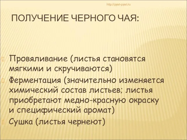 ПОЛУЧЕНИЕ ЧЕРНОГО ЧАЯ: Провяливание (листья становятся мягкими и скручиваются) Ферментация (значительно изменяется