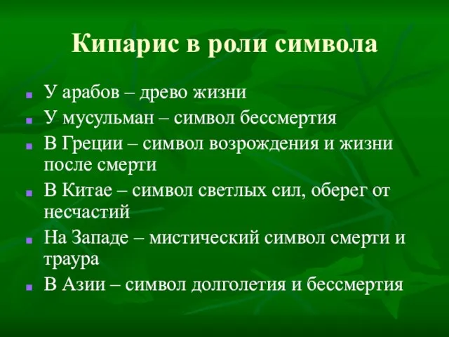 Кипарис в роли символа У арабов – древо жизни У мусульман –