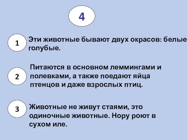 Эти животные бывают двух окрасов: белые и голубые. 4 Питаются в основном