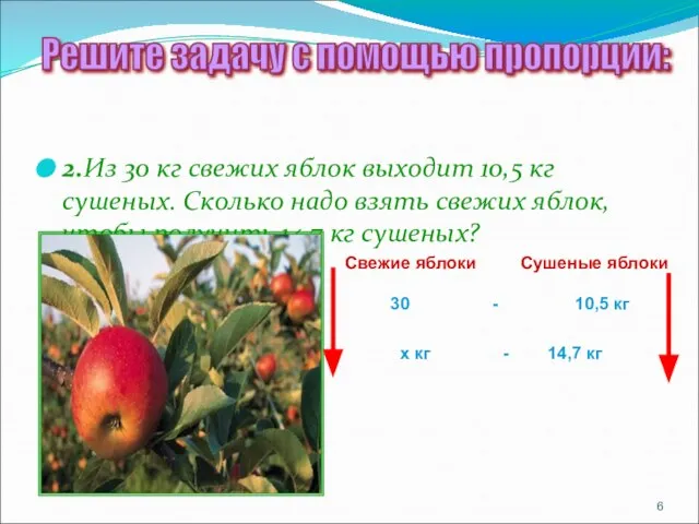 2.Из 30 кг свежих яблок выходит 10,5 кг сушеных. Сколько надо взять