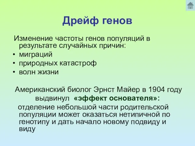 Дрейф генов Изменение частоты генов популяций в результате случайных причин: миграций природных