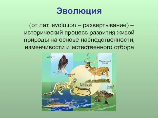 Эволюция (от лат. evolution – развёртывание) – исторический процесс развития живой природы