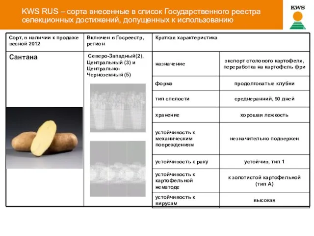 KWS RUS – сорта внесенные в список Государственного реестра селекционных достижений, допущенных к использованию