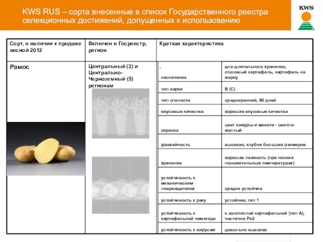 KWS RUS – сорта внесенные в список Государственного реестра селекционных достижений, допущенных к использованию