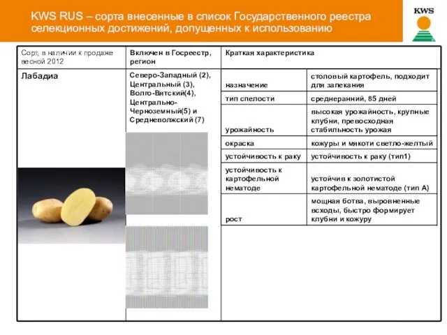 Datum KWS RUS – сорта внесенные в список Государственного реестра селекционных достижений, допущенных к использованию