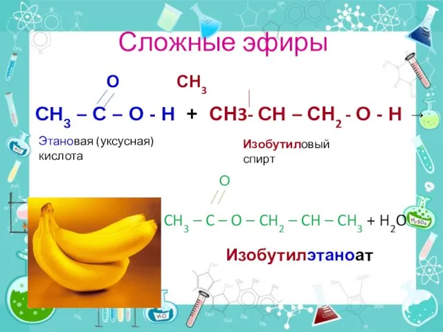 Сложные эфиры О СН3 СН3 – С – О - Н +