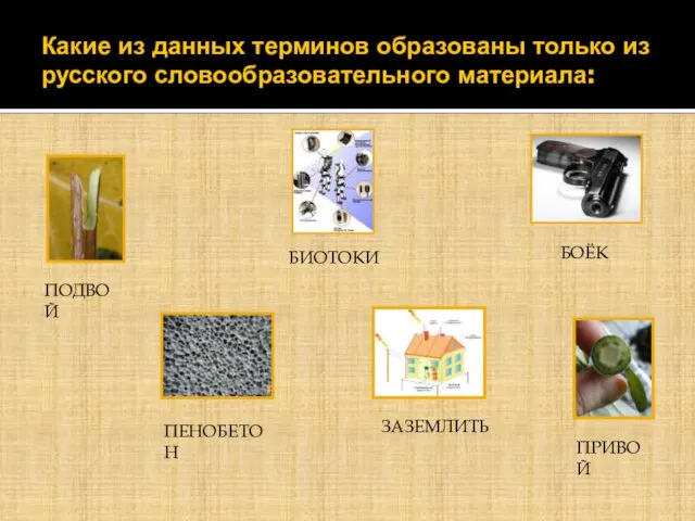 Какие из данных терминов образованы только из русского словообразовательного материала: БОЁК ЗАЗЕМЛИТЬ БИОТОКИ ПРИВОЙ ПЕНОБЕТОН ПОДВОЙ