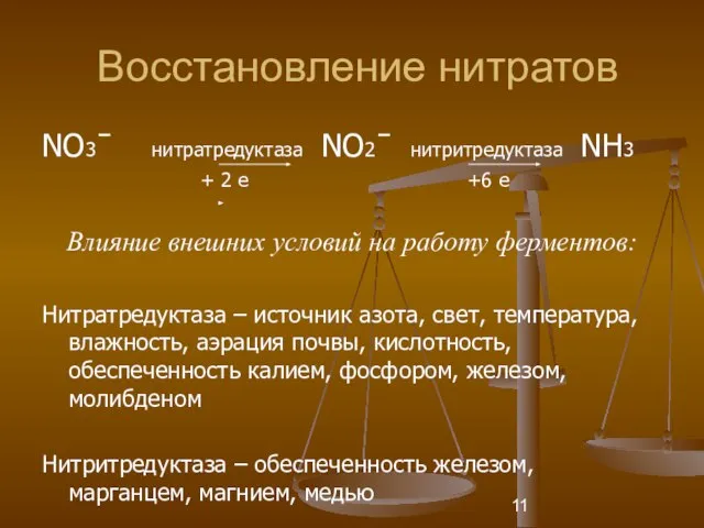 Восстановление нитратов NО3ˉ нитратредуктаза NО2ˉ нитритредуктаза NН3 + 2 е +6 е