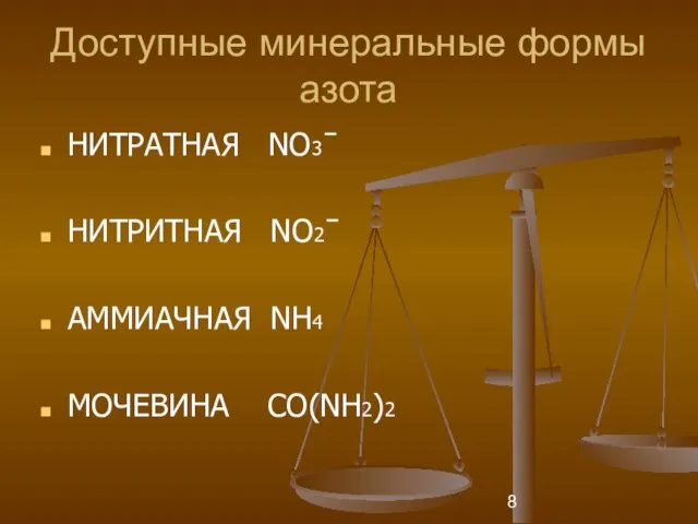 Доступные минеральные формы азота НИТРАТНАЯ NО3ˉ НИТРИТНАЯ NО2ˉ АММИАЧНАЯ NН4 МОЧЕВИНА СО(NН2)2