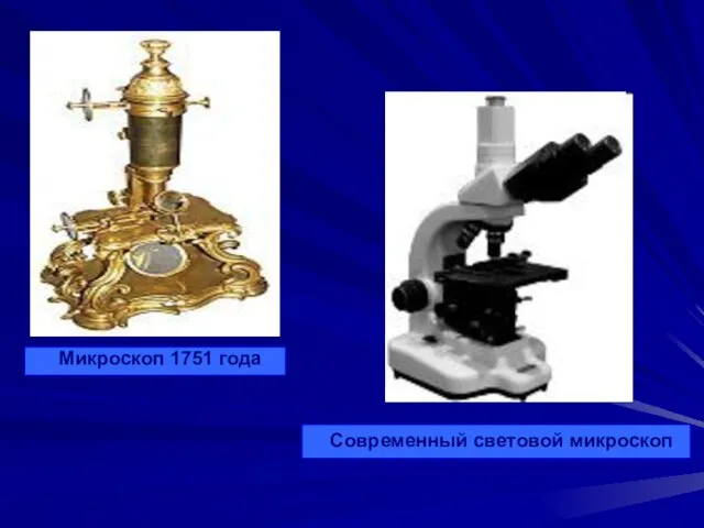 Микроскоп 1751 года Современный световой микроскоп