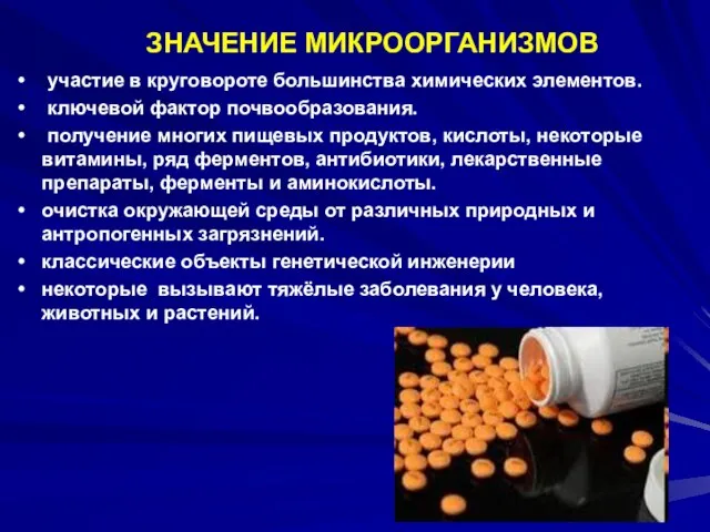 ЗНАЧЕНИЕ МИКРООРГАНИЗМОВ участие в круговороте большинства химических элементов. ключевой фактор почвообразования. получение