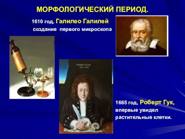 МОРФОЛОГИЧЕСКИЙ ПЕРИОД. 1610 год, Галилео Галилей создание первого микроскопа 1665 год, Роберт