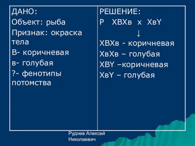 Руднев Алексей Николаевич