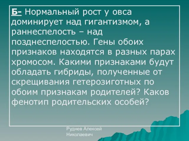 Руднев Алексей Николаевич