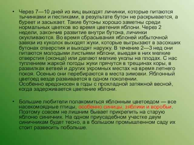 Через 7—10 дней из яиц выходят личинки, которые питаются тычинками и пестиками,