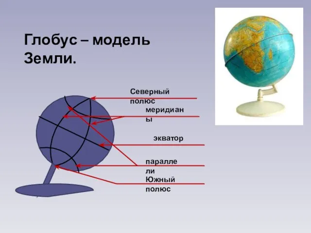 Северный полюс меридианы экватор параллели Южный полюс Глобус – модель Земли.