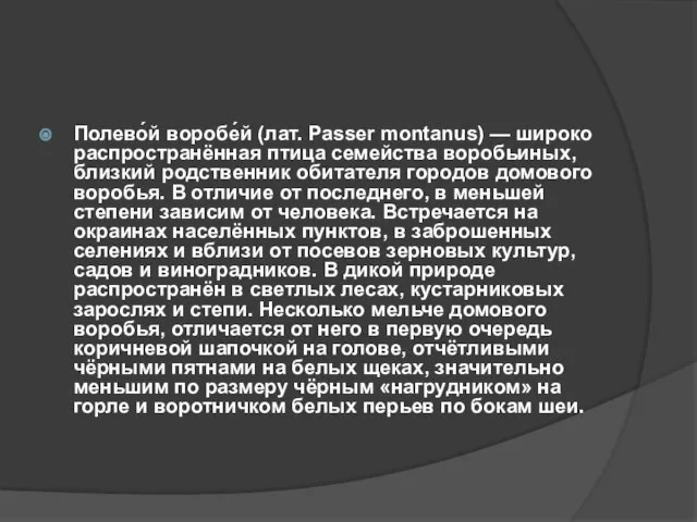 Полево́й воробе́й (лат. Passer montanus) — широко распространённая птица семейства воробьиных, близкий