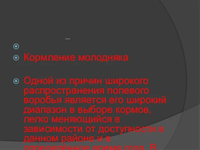 Питание Кормление молодняка Одной из причин широкого распространения полевого воробья является его