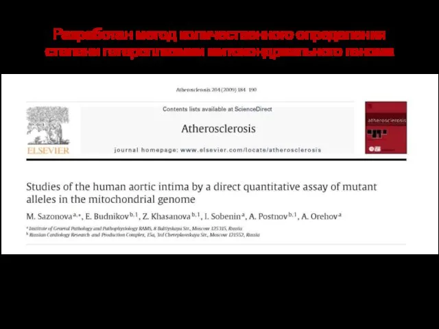 Разработан метод количественного определения степени гетероплазмии митохондриального генома