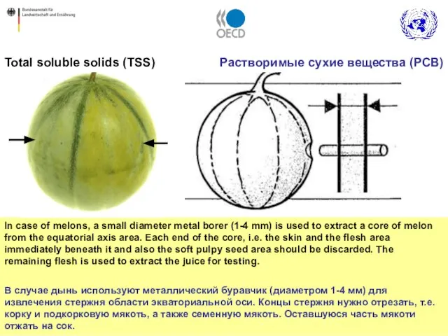 Total soluble solids (TSS) In case of melons, a small diameter metal
