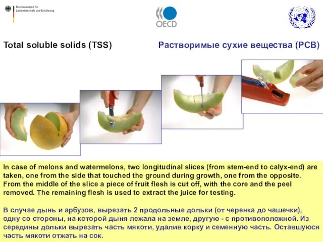 Total soluble solids (TSS) In case of melons and watermelons, two longitudinal