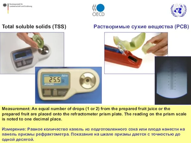 Measurement: An equal number of drops (1 or 2) from the prepared