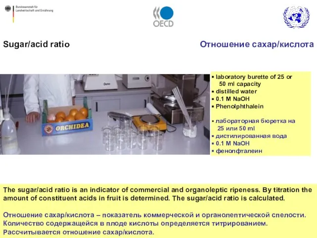 The sugar/acid ratio is an indicator of commercial and organoleptic ripeness. By