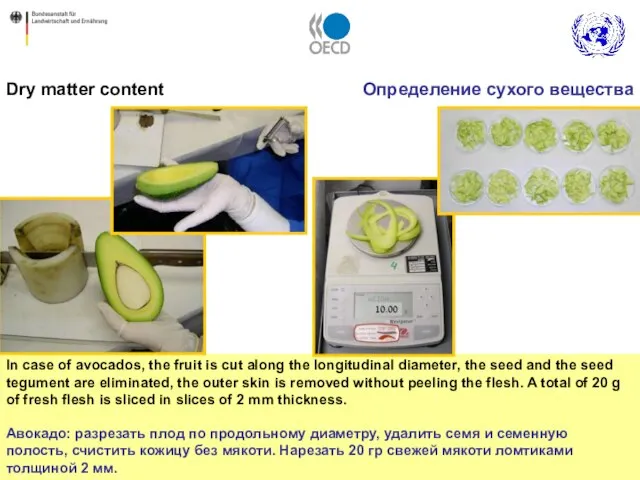 Dry matter content In case of avocados, the fruit is cut along