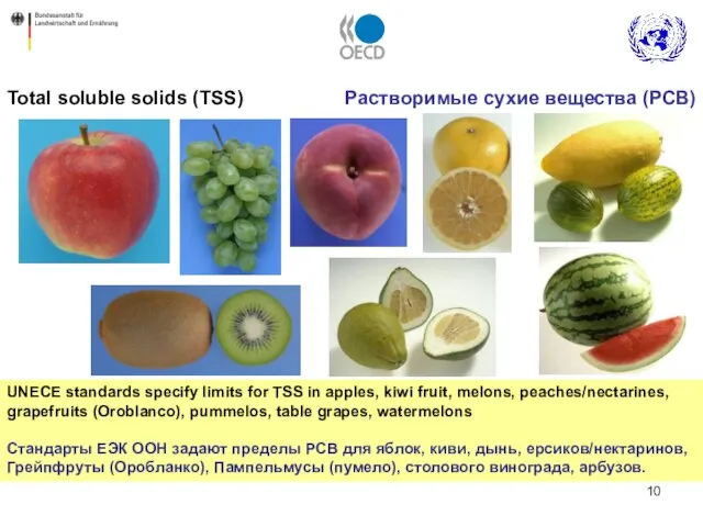 UNECE standards specify limits for TSS in apples, kiwi fruit, melons, peaches/nectarines,